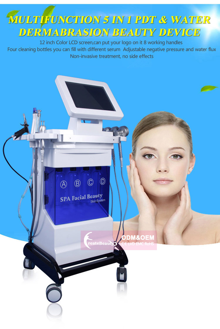 skin spa system H600D_2.jpg